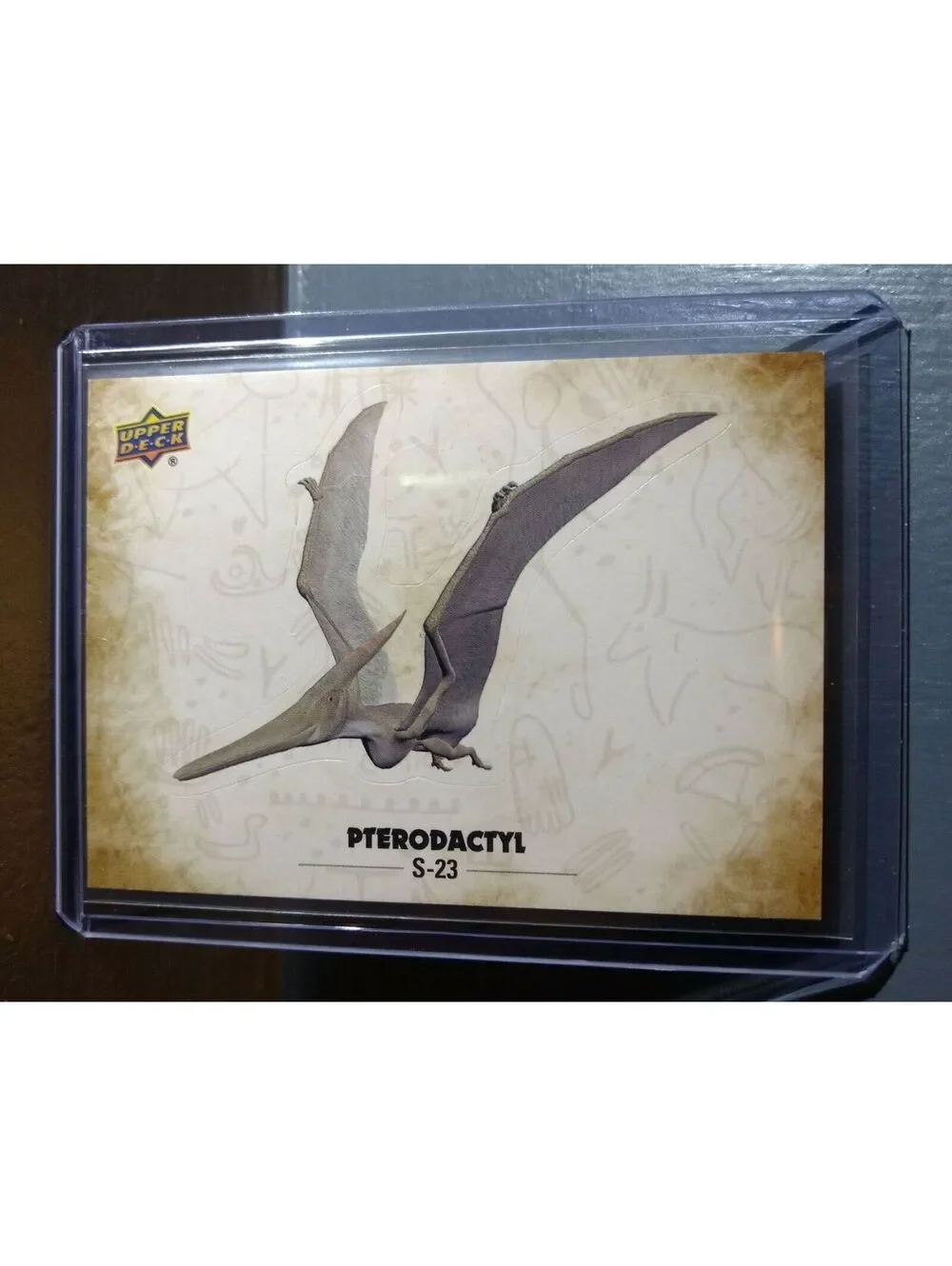 2015 Upper Deck Dinosaurs Pterodactyl #S-23 Trading Sticker Card